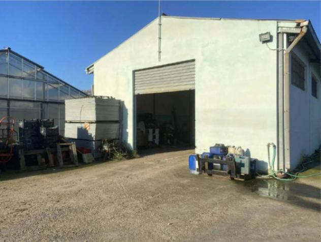 Immobile in asta di 10494 m² in vendita a Elmas - Foto 19