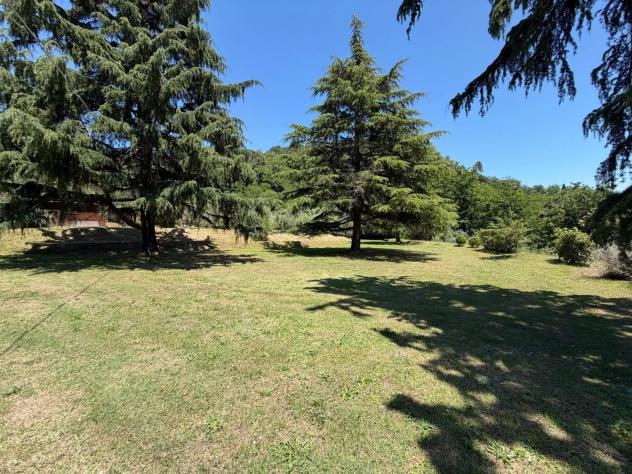 Villa in vendita a Maggiano - Lucca 300 mq Rif: 1427323 - Foto 5