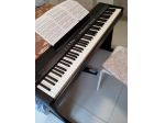 Vendo tastiera 88 tasti pesato in stato disceto ORLA STATE TALENT