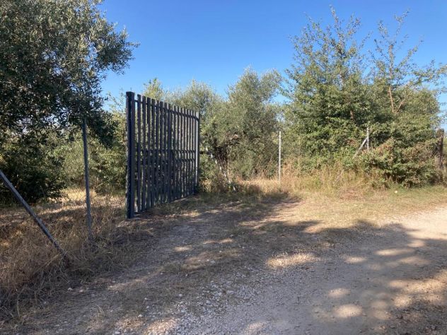Terreno Agricolo a Guidonia Montecelio (RM) - Foto 5