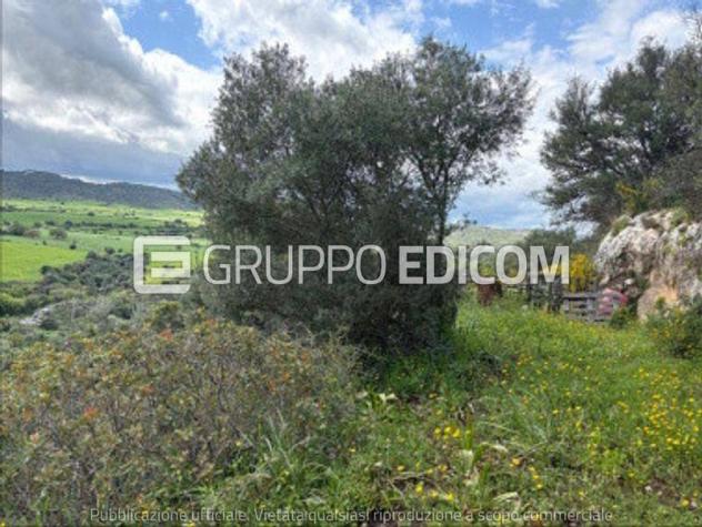 Terreno in vendita a Noto - Rif. 4549562