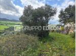 Terreno in vendita a Noto - Rif. 4549562