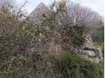 Chalet / Baita in vendita a Martina Franca