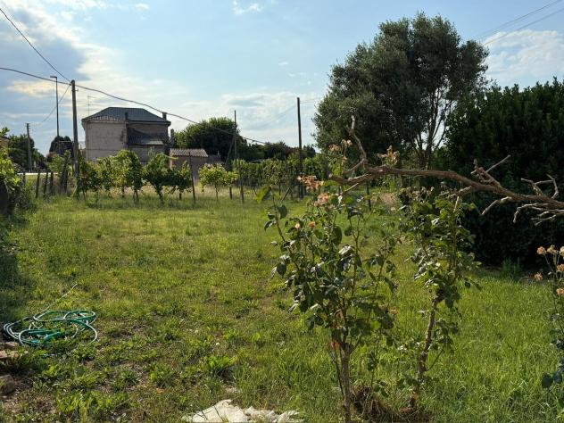 Singola in vendita a Villamarzana - Foto 9