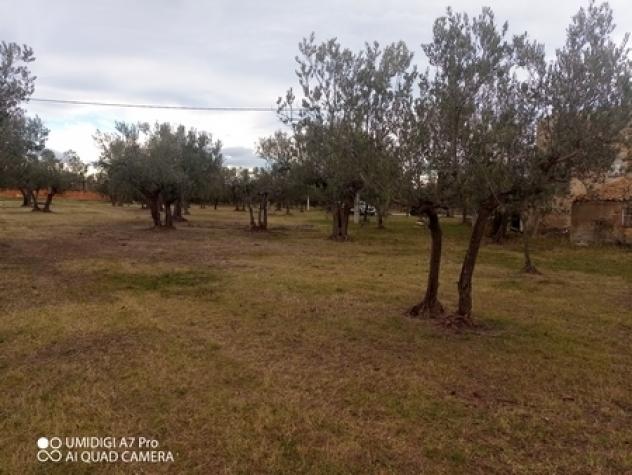 Rustico in vendita a Fossacesia - Foto 13