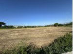 Agricolo in vendita a Montescudaio