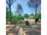 RUSTICO CON 5000 Mq. DI TERRENO A PALOMBARA