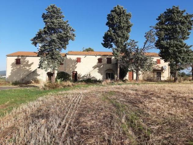 Rustico in vendita a Vada - Rosignano Marittimo 6000 mq Rif: 1198833 - Foto 2