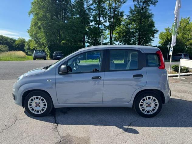 FIAT Panda III 1.0 FireFly 70Cv S&S Hybrid Easy rif. 23724090 - Foto 3