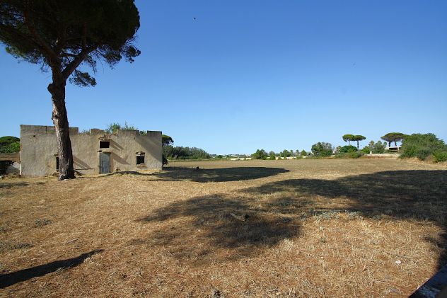 Masseria storica del 1800 - Foto 2