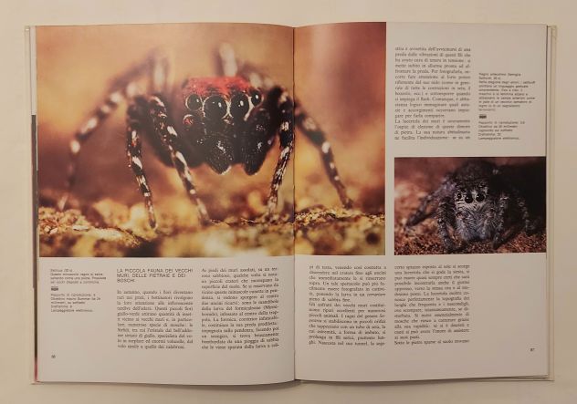 Fotografare la natura di Claude Nuridsany, Marie Pérennou 1°Ed.Mondadori, 1976 - Foto 5