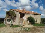 AZIENDA AGRICOLA di 6 vani e di 300 mq (SCANSANO) rif. 1912.173M