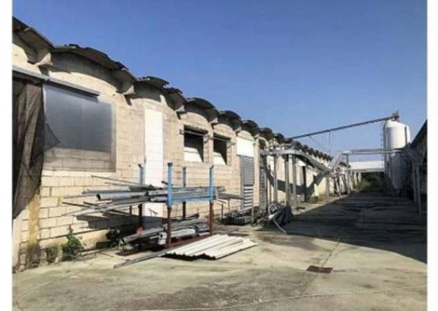 Immobile in asta di 2200 m² in vendita a Cittadella - Foto 3