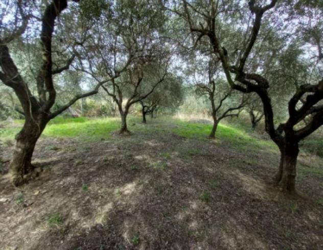 Immobile in asta di 240 m² in vendita a Morlupo - Foto 11