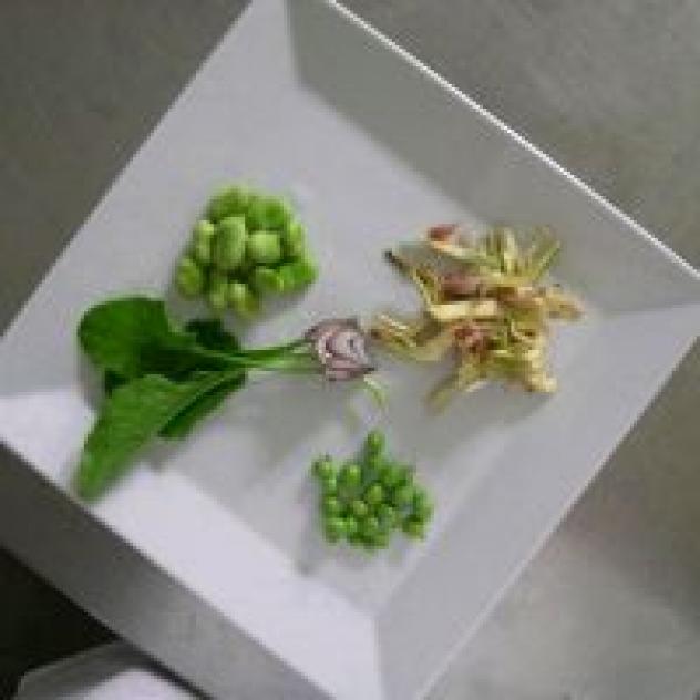 Locanda La Pieve small charming B&B with Dinner - Foto 3