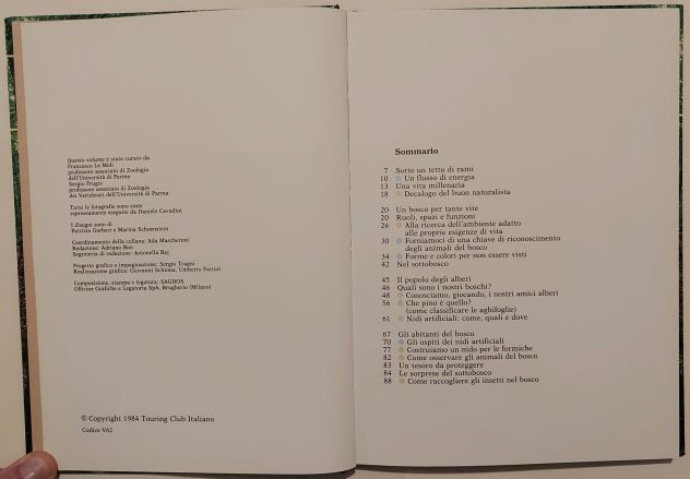 IL BOSCO.Collana: Guardiamoci intorno Ed.Touring Club Italiano, 1984 - Foto 3
