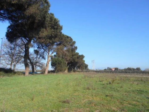 Immobile in asta di 82648 m² in vendita a Latina - Foto 12