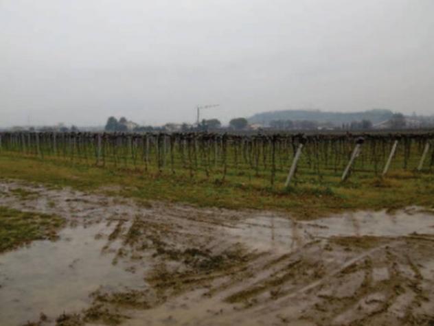Immobile in asta di 42594 m² in vendita a Pescantina - Foto 11