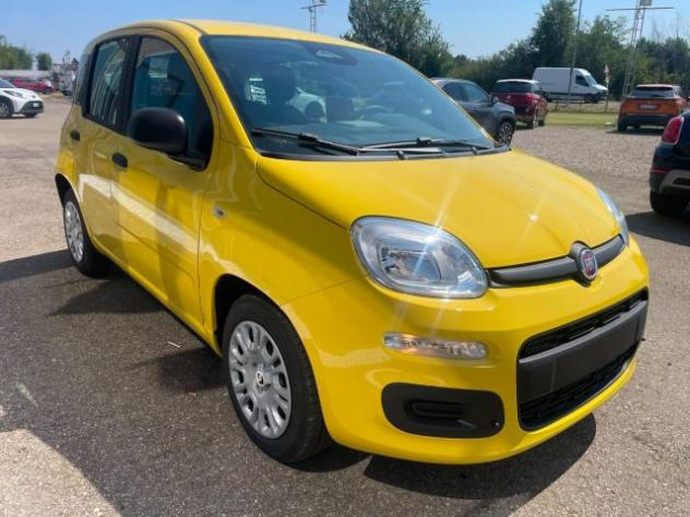 FIAT Panda 1.0 FireFly S&S Hybrid Pandina rif. 23992882 - Foto 4