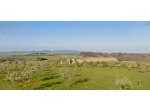 Casale in vendita a Casciana Terme Lari 620 mq  Rif: 1340396