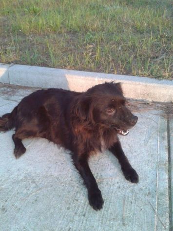 CUORE E ANIMA, due creature dolcissime - Foto 2