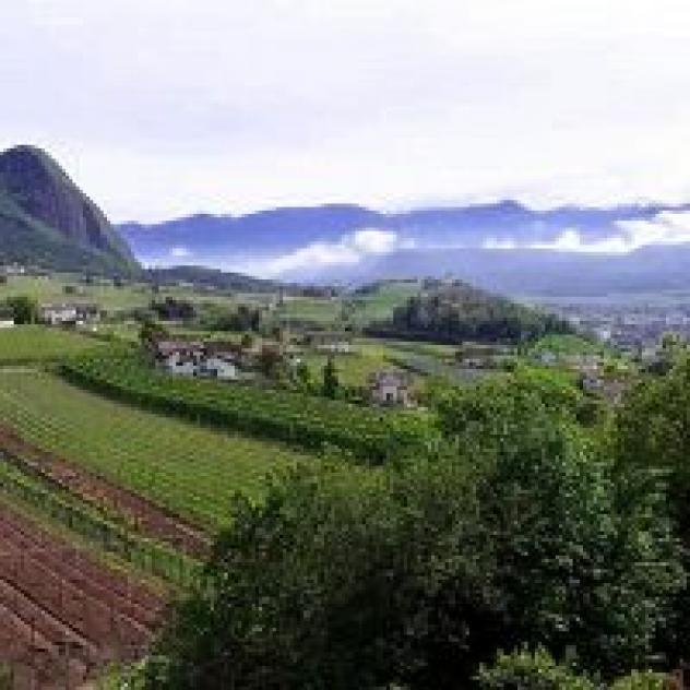 Gasthof Kreuzstein S.n.c. di Roman Pichler e C.