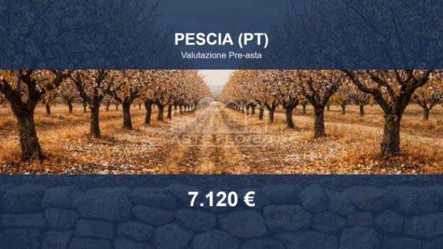 Immobile in asta di 4965 m² in vendita a Pescia