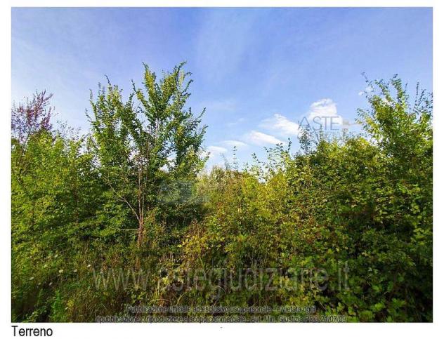 IMMOBILI-ALTRA CATEGORIA-Via Tazzerina e Sardigna, 51100 Pistoia PT, Italia - Foto 2