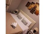 B&B Tortuga