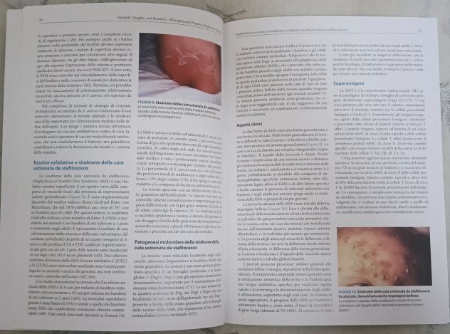 Principles and Practice of Infectious Diseases – estratti - Foto 5