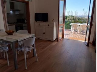Appartamento in affitto a Rosignano Solvay - Rosignano Marittimo 50 mq  Rif &hellip;