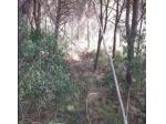Immobile in asta di 3964 m² in vendita a Monte Argentario