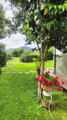 Duplex in vendita a Asciano - San Giuliano Terme 115 mq Rif: 1413985 - Foto 8
