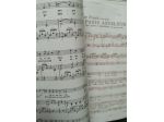 Cantante tenore
