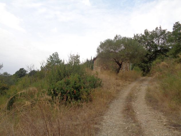 Torchiara-Terreno Con Fabbricato,Ulivi E Ficheto - Foto 6