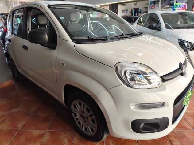 Fiat Panda 1.2 Lounge benzina 70 CV - 2021 - Foto 4