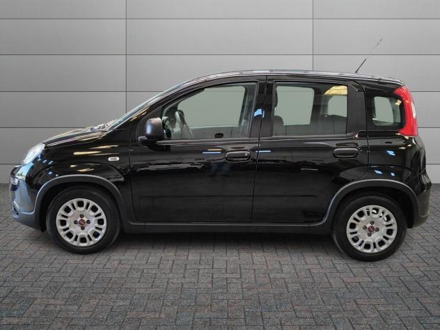 FIAT Panda 3ª serie 1.0 FireFly S&S Hybrid - Foto 2
