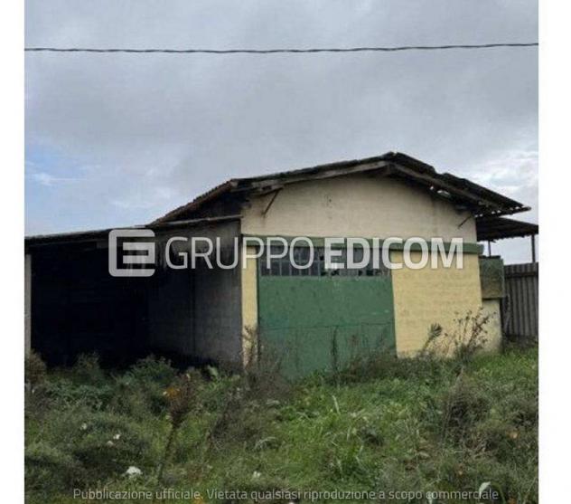 Fabbricati per attività agricole in vendita a Galliera - Rif. 4551417 - Foto 4