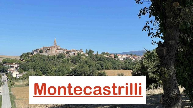 Personal Trainer Montecastrilli | Scheda e Coaching - Foto 5