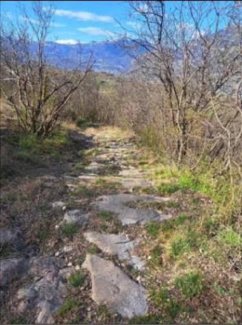 Immobile in asta di 8923 m² in vendita a Rovereto - Foto 5