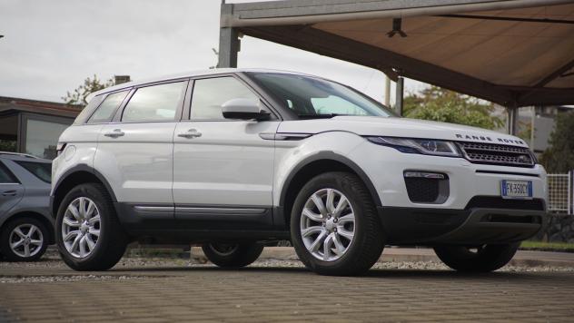 Land Rover Range Evoque 2.0 TD4 150 CV 5p. Business Edition Pure - Foto 3
