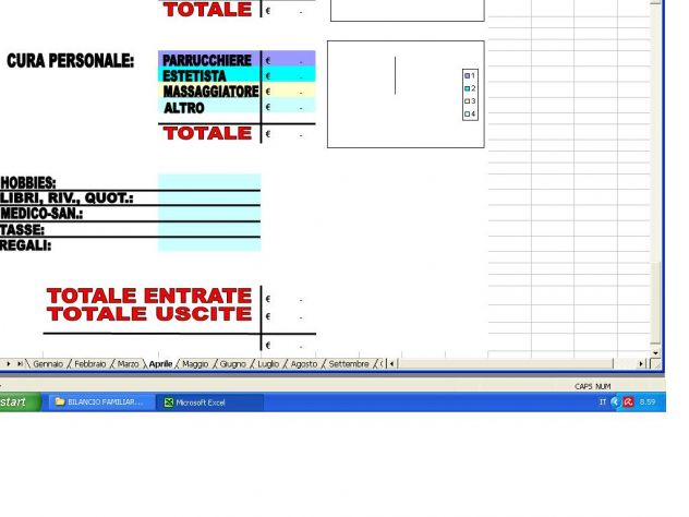 SOFTWARE GESTIONALE BILANCIO FAMILIARE E C.CORRENTE - Foto 3