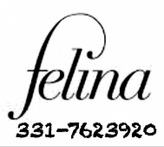 * Studio FELINA * . . *****NUOVO NUMERO****** Tel:3317623920