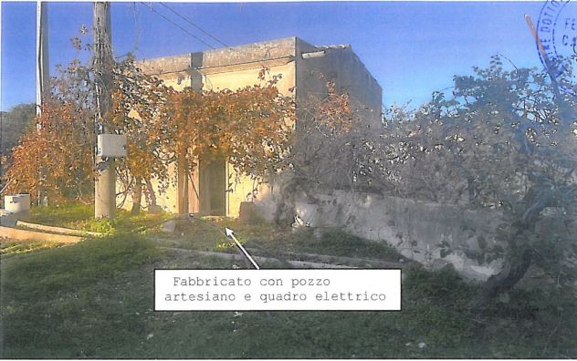 15 - Aranceto con rudere AVOLA - Foto 6