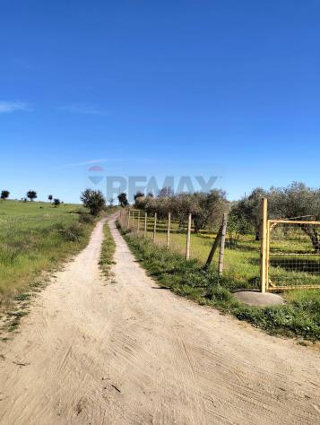 Terreno in vendita a Caltagirone - Foto 2