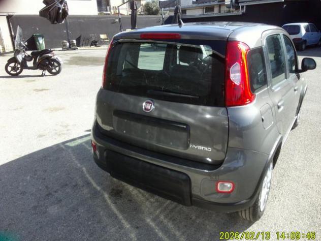 FIAT Panda 1.0 FireFly S&S Hybrid rif. 24081145 - Foto 5