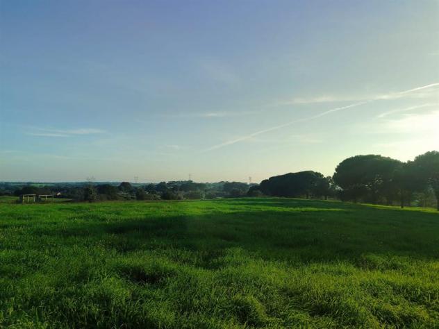 Terreno Agricolo - Rif. 2445 - Foto 15