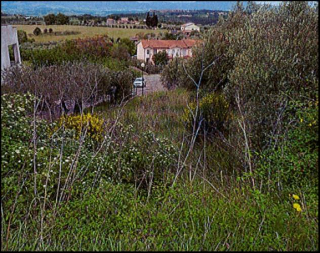 Immobile in asta di 1 m² in vendita a Montegabbione - Foto 5
