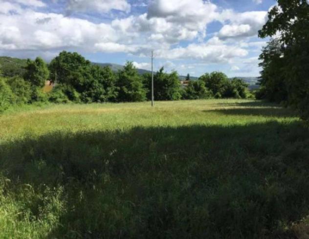 Immobile in asta di 1720 m² in vendita a San Massimo - Foto 9