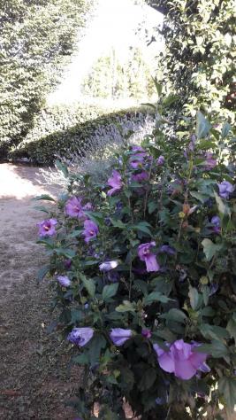 Casa semindipendente in vendita a Villa Campanile - Castelfranco di Sotto 160 mq Rif: 971283 - Foto 7